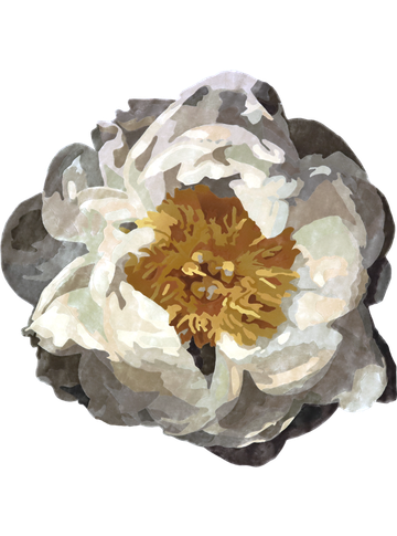 Floraison Douce
