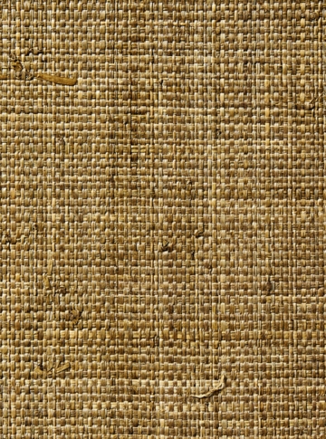 Raffia Weave