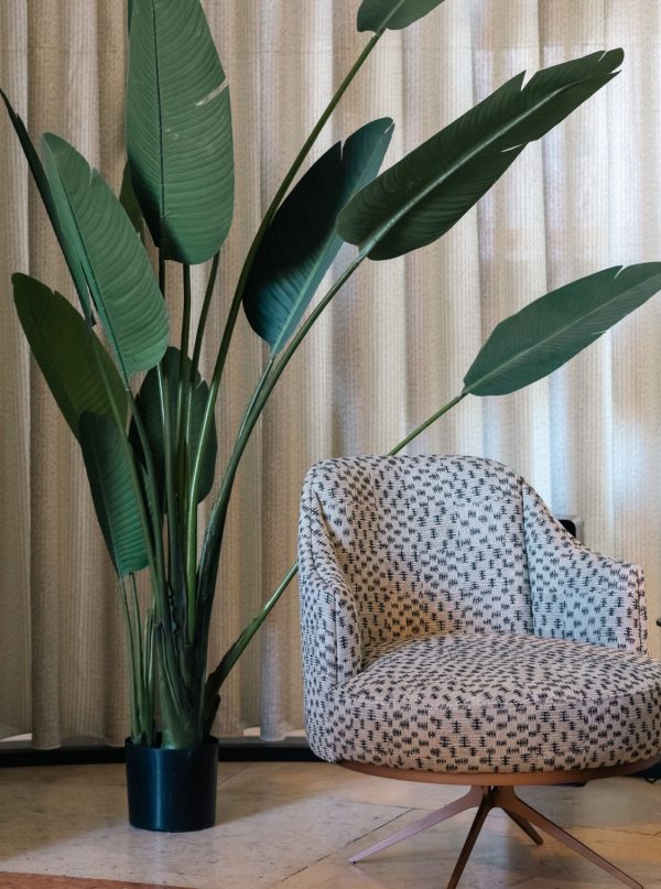 Barreiros & Barreiros Quiet Luxury - Homeing 2025