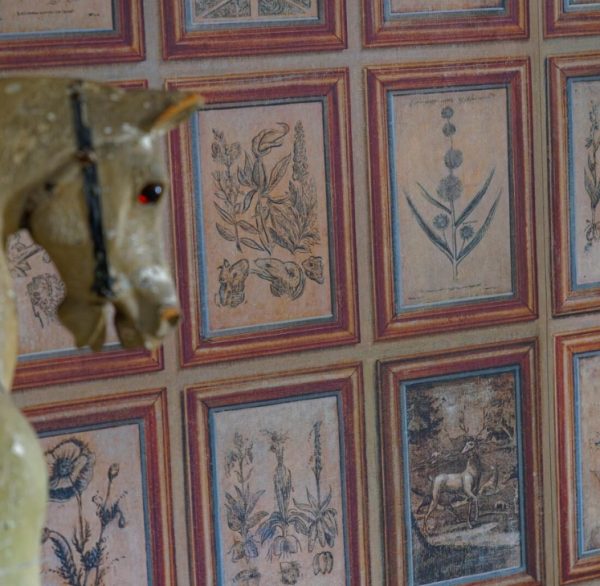 Curator Andrew Martin | Wallpaper Collection