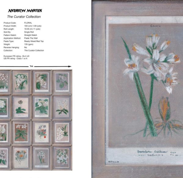 Curator Andrew Martin | Wallpaper Collection