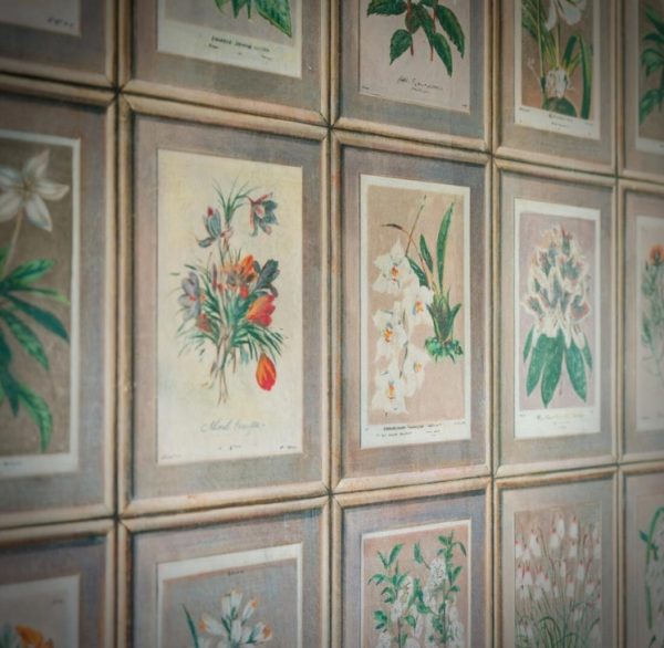 Curator Andrew Martin | Wallpaper Collection