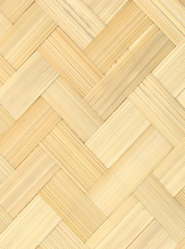 Bamboo Wallcovering CMO Paris