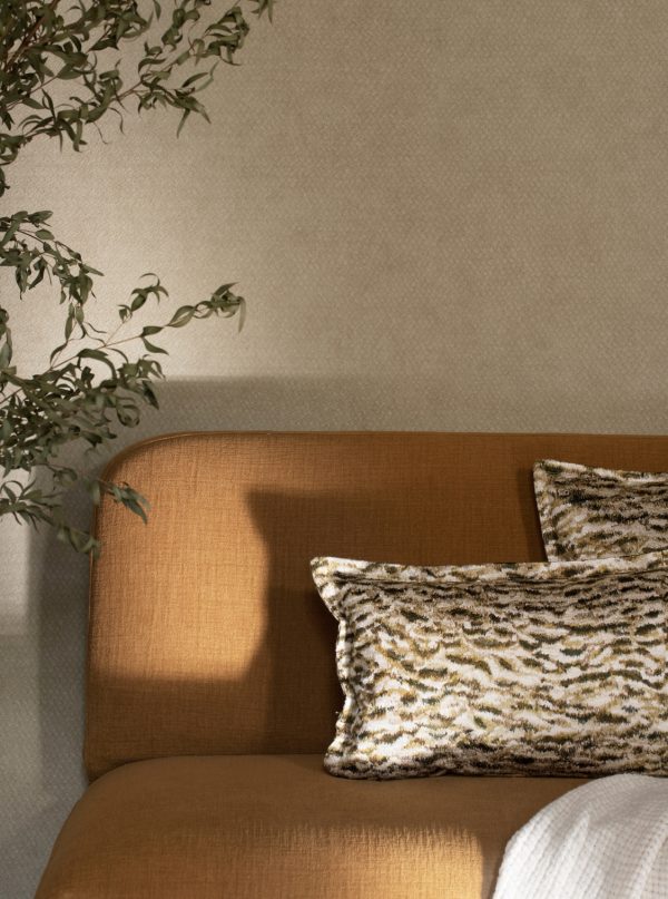 Terai Lizzo | 2025 New Collection